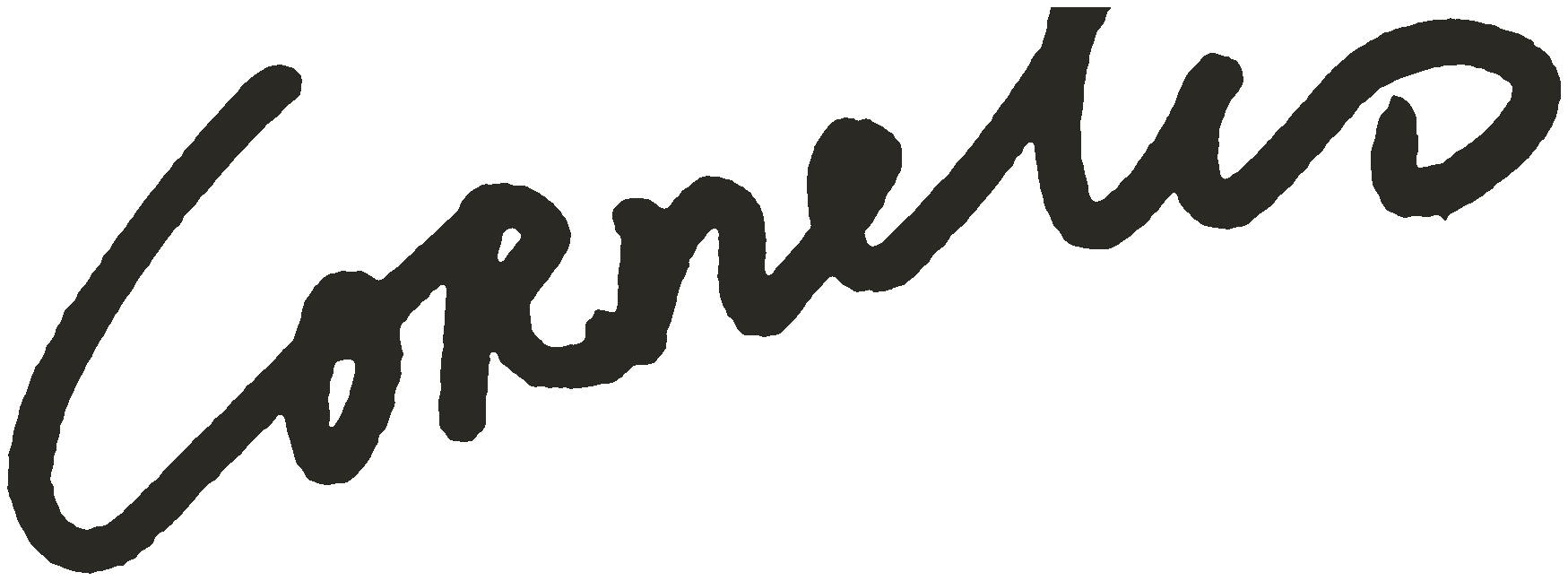 Kees van Rijen – beeldend kunstenaar
